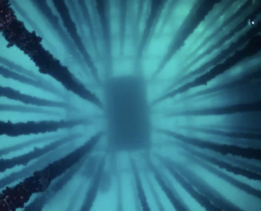 El Futuro de los Alimentos Provenientes del Mar, explicado